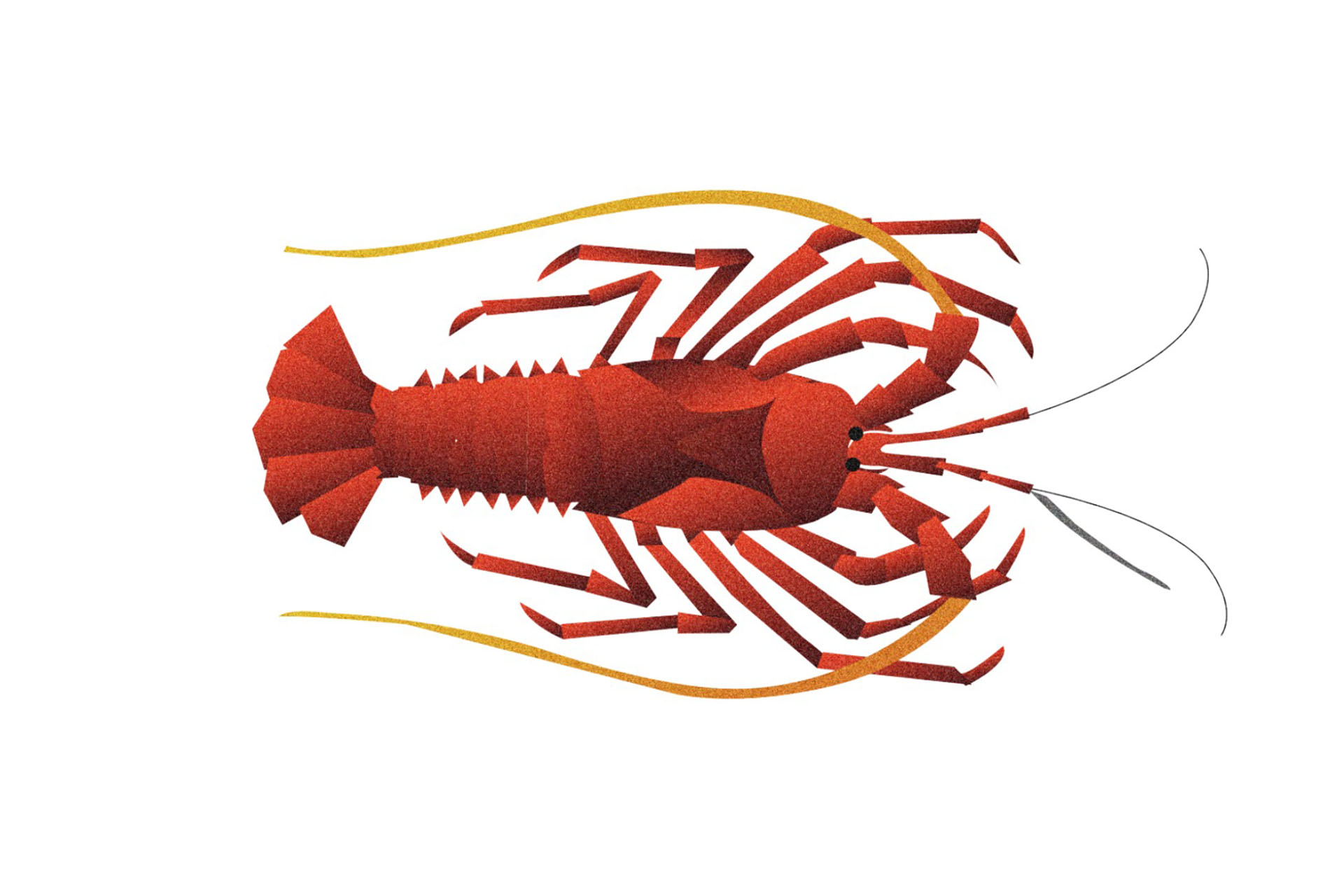 White Swan Hotel Seafood Packaging Design